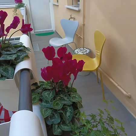 Bed & Breakfast Ecocentrico
